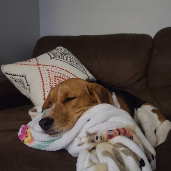 Meet your Posher, Alejandra - Picture 1 of 1